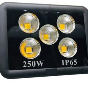 Đèn pha ly 250W - MSP: QD-FL250 4 den pha led 250w 1