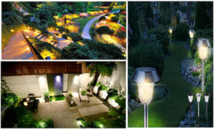 Lắp đèn Led trong sân vườn trên cây xanh