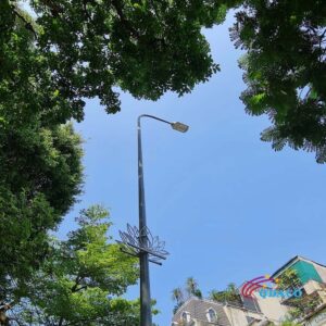 Cột Dèn Cao Áp Chiếu Sáng Dường Phố Cần Dèn Dơn QDCD.CD05 3