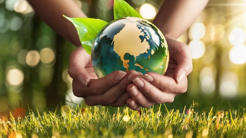 Sử dụng đèn năng lượng góp phần bảo vệ môi trường